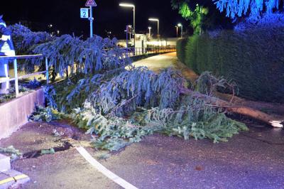 Kirchheim: Sturm zieht ueber den Landkreis - Mehrere Sturmeinsaetze